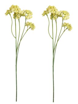 Tayhaa - Yellow & Green 2 Pieces Statice Artificial Flower