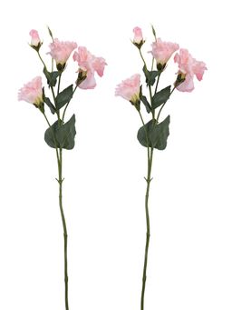 Tayhaa - Pink and Green 2 Pieces Carnation Bloom Artificial Flowers With Pot