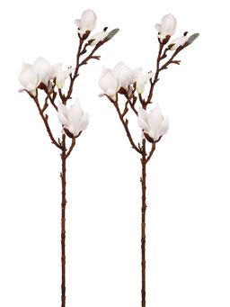 Tayhaa - White & Brown 2 Pieces Magnolia Artificial Flowers