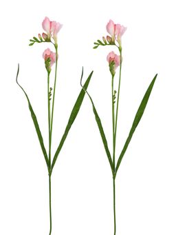 Tayhaa - Pink & Green 2 Pieces Freesia Artificial Flowers