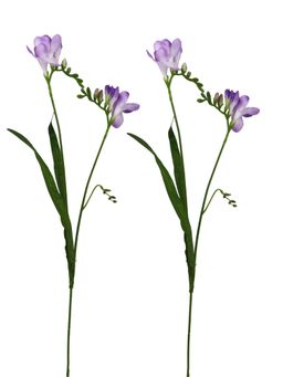 Tayhaa - 2 Pieces Freesia Artificial Flowers