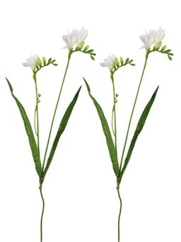 Tayhaa - White & Green 2 Pieces Crisp Freesia Blooms Artificial Flower