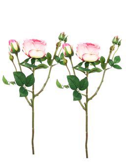 Tayhaa - Pink and Green 2 Pieces Rose Artificial Flower