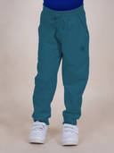 Teal color option, Currently selected