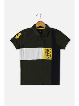 Allen Solly - Boys Green Regular Fit Colorblock Collar Neck Polo T-Shirt