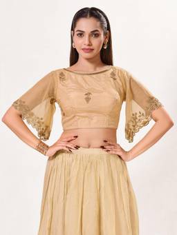 VAMAS - THE DESIGNER BLOUSES - Net Padded Back-Open Half-Sleeves Saree Blouse