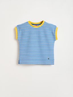 Blue Giraffe - Girls Blue Striped Round Neck T-Shirt