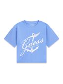 Blue color option