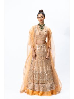 Nirmooha - Orange Hand-Embroidered Lehenga with Blouse and Dupatta