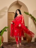 Red color option, Currently selected