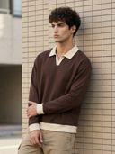 Brown color option