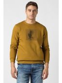 Yellow color option, Currently selected