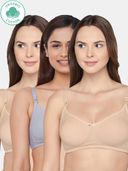 Multi-Color color option, Currently selected