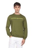 Green color option, Currently selected