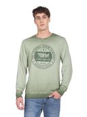 Green color option, Currently selected