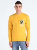 Yellow color option