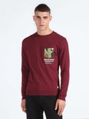 Maroon color option