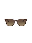 Brown color option, Currently selected