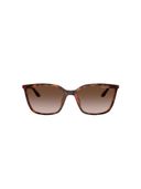 Brown color option, Sold out