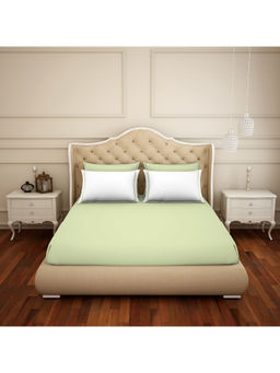 CORE Designed by SPACES - Hygro Green Solid Cotton 300 Tc 1 King Bed Sheet & 2 Pillow Cover