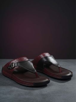 EZOK - Men Brown Sandals