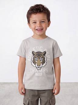 R&B - Grey Graphic Half Sleeves T-Shirt
