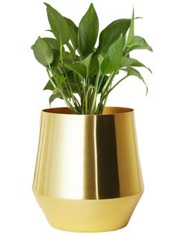 Ecofynd - Alice Jr Gold Metal Plant Pot
