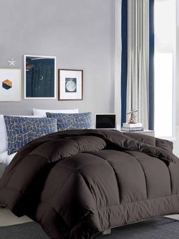 Razzai - Microfiber Dark Grey Mild Winter 300Gsm Single Bed |Quilt|Dohar