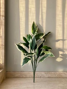 Mason Home - Artificial Hosta Plant - 3.5 Feet (Without Pot)