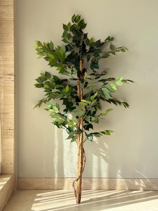 Mason Home Artificial Grove Ficus Plant - 5 Feet (Without pot)