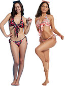 Multi-Color color option, Currently selected