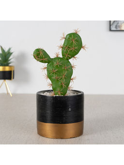 HomeTown - Ceramic Cactus Plant, Green & Black