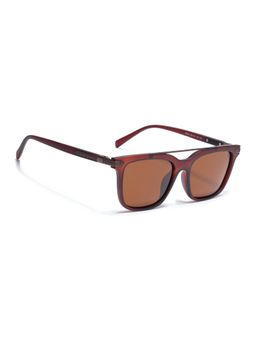 Eyejack - Unisex Polarized UV Protected Wayfarer Brown Lens Sunglasses - 868PCL2139 (55)