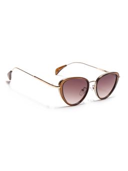 Eyejack - Women UV Protected Cat Eye Brown Lens Sunglasses - 9435CL1105 (46)