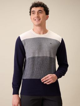 ColorPlus - Men Multi-Color Pure Cotton Regular Fit Sweater