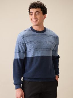 ColorPlus - Men Blue Pure Cotton Regular Fit Sweater