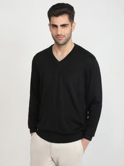 ColorPlus - Men Black Wool Blend Regular Fit Sweater