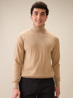 ColorPlus - Men Beige Wool Blend Regular Fit Sweater