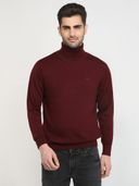 Maroon color option, Currently selected
