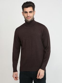 ColorPlus - Men Brown Wool Blend Regular Fit Sweater