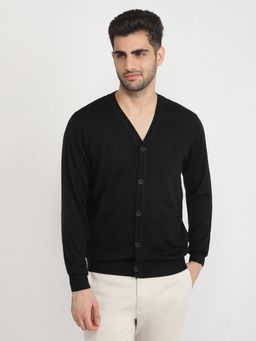 ColorPlus - Men Black Wool Blend Regular Fit Sweater