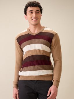ColorPlus - Men Multi-Color Acrylic Blend Regular Fit Sweater