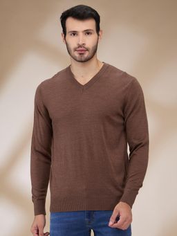 ColorPlus - Men Brown Wool Blend Regular Fit Sweater