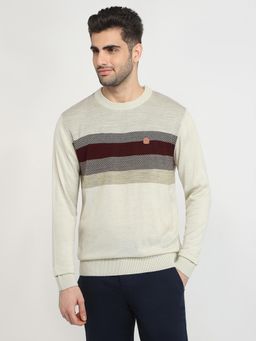 ColorPlus - Men Multi-Color Acrylic Regular Fit Sweater