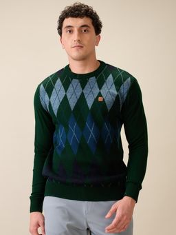 ColorPlus - Men Green Acrylic Regular Fit Sweater