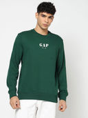 Green color option, Currently selected