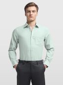 Green color option, Currently selected