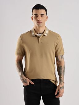 Calvin Klein - Men Brown Solid Regular Fit Cotton Polo T-Shirt