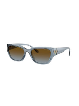 Michael Kors - Women Gradient Brown Lens Irregular Sunglasses - 0MK2242D40141356 (56)