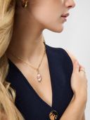 Multi-Color color option, Currently selected